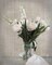 Farmhouse Bouquet II Poster Print by Danita Delimont - Item # VARPDX17348
